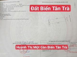 Đất biển tân trà, đường huỳnh thị một