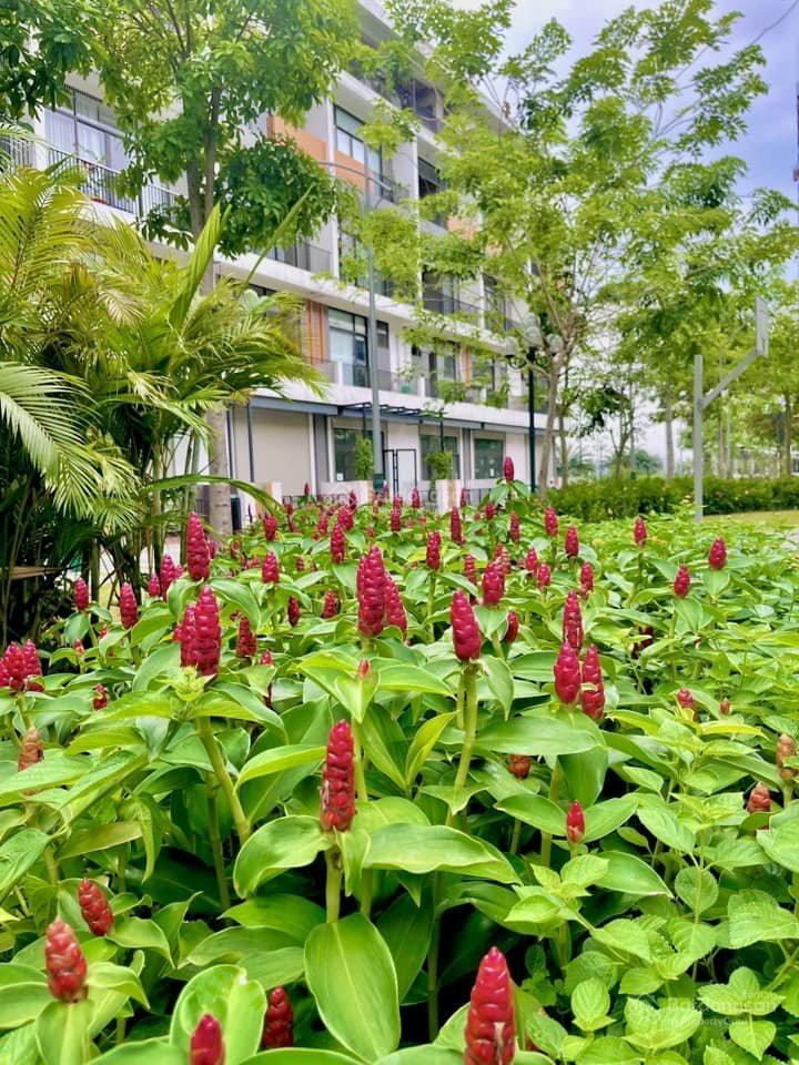 Chính chủ gửi bán căn góc tại bình minh garden, 7,89 tỷ (75,8tr/m2), 104m2, 3pn, 2wc, đủ đồ đẹp