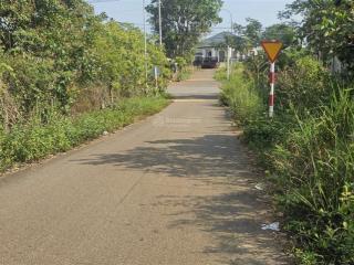 Bán lô đất sào, thổ cư, trái cây đẹp rẻ nhất láng lớn