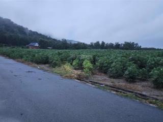 Bán lô đất sào 2 mặt tiền đường, 8 sào 6 có 400m2 thổ cư