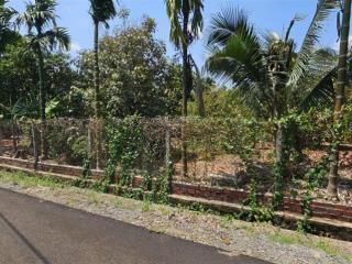 Cần bán lô đất hơn 1.3 ha , 2 mặt đường, thổ cư ,khu dân cư ngãi giao