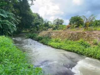 5 sào giáp suối , khu du lịch có 300 thổ cư, nhà cấp 4 và full trái cây, quá đẹp rẻ