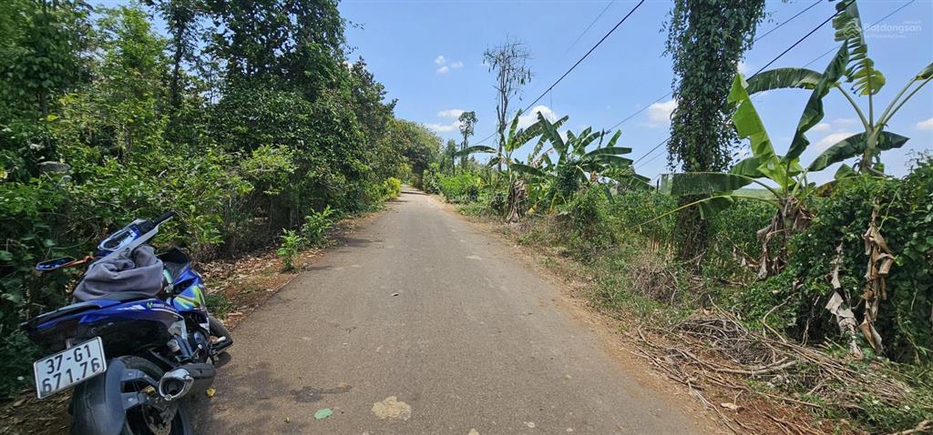 Bám mảnh đất sào view hồ giáp mặt nước, thổ cư mặt đường nhiều
