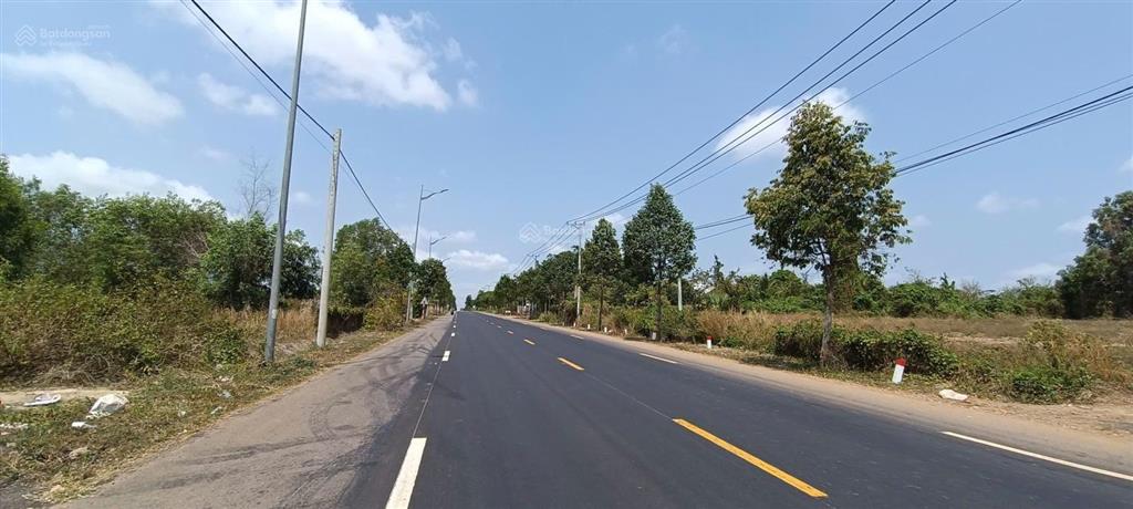 Bán gần 4 ha, mặt đường phước tân  hội bài mặt tiền 116m