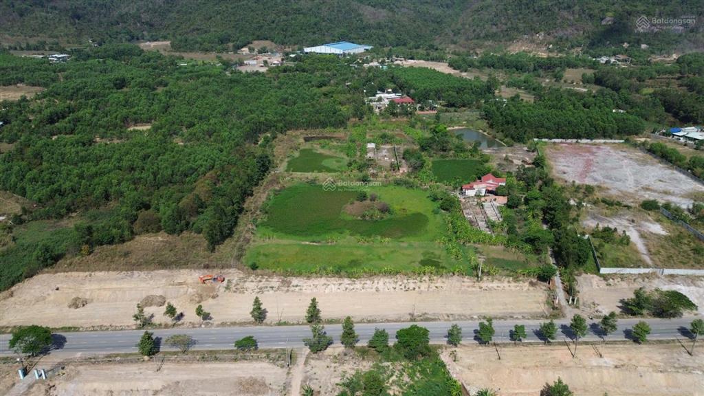 Siêu phẩm hơn 4 ha mặt đường hội bài châu pha, giá rẻ