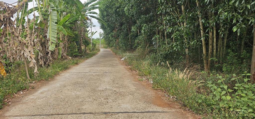 Bán lô đất sào 3 mặt đường láng lớn, 5278m2 có 210m mặt đường