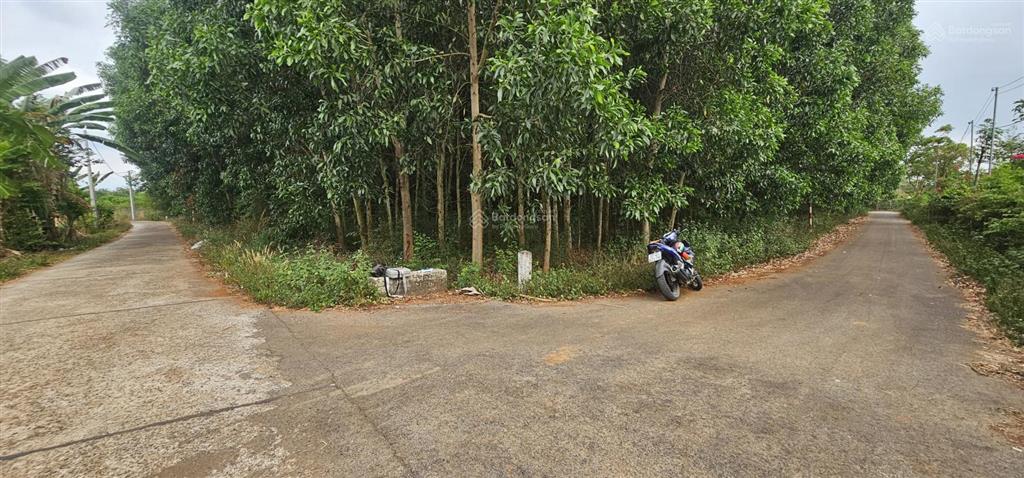 Bán lô đất sào 3 mặt đường láng lớn, 5278m2 có 210m mặt đường