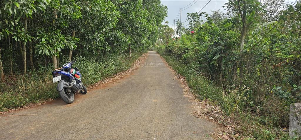 Bán lô đất sào 3 mặt đường láng lớn, 5278m2 có 210m mặt đường