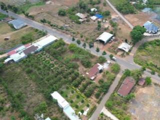 Bán vườn sầu riêng , sát đường mỹ xuân ngãi giao 1241m2 có 80m2 thổ cư