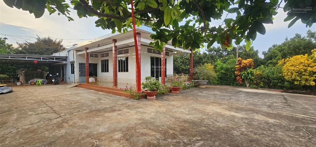 Bán hơn 2 ha đất trồng sầu riêng, bơ, mận, xoài, chôm chôm, nhà c4