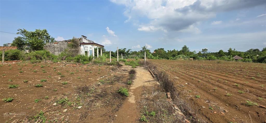 Bán lô đất sông xoài mặt đường nhiều, có thổ cư, giáp suối