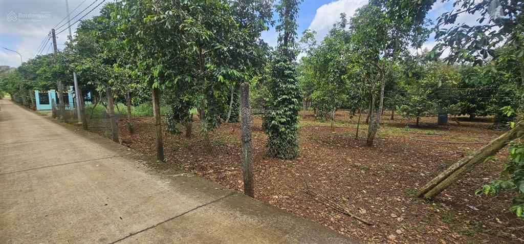 Bán lô đất ở kim long, cách ql 100m 20x45m, 60m2 thổ cư