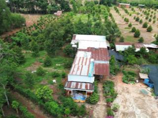 Bán nhà vườn giáp suối, vườn trái cây và nhà cấp 4