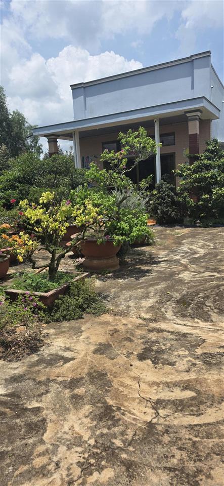 Bán nhà vườn giáp suối, vườn trái cây và nhà cấp 4