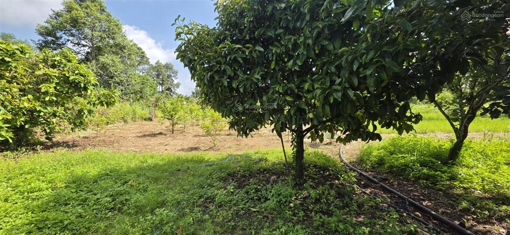 Bán lô đất mẫu rẻ đẹp, mặt đường nhiều, quy hoạch ra mặt tiền quốc lộ 144m