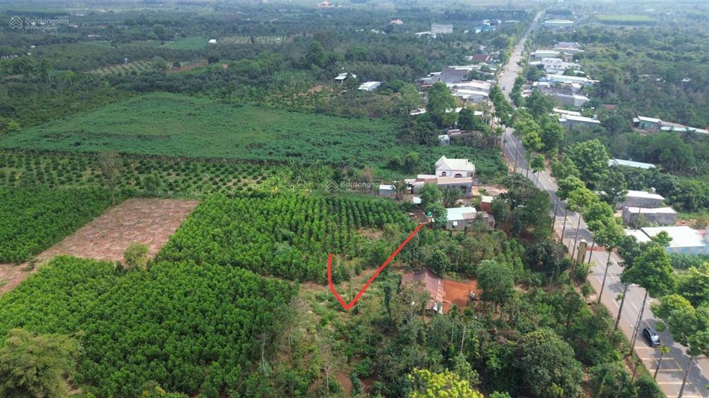 Bán hơn 7 sào 2, 61m mặt đường mỹ xuân ngãi giao