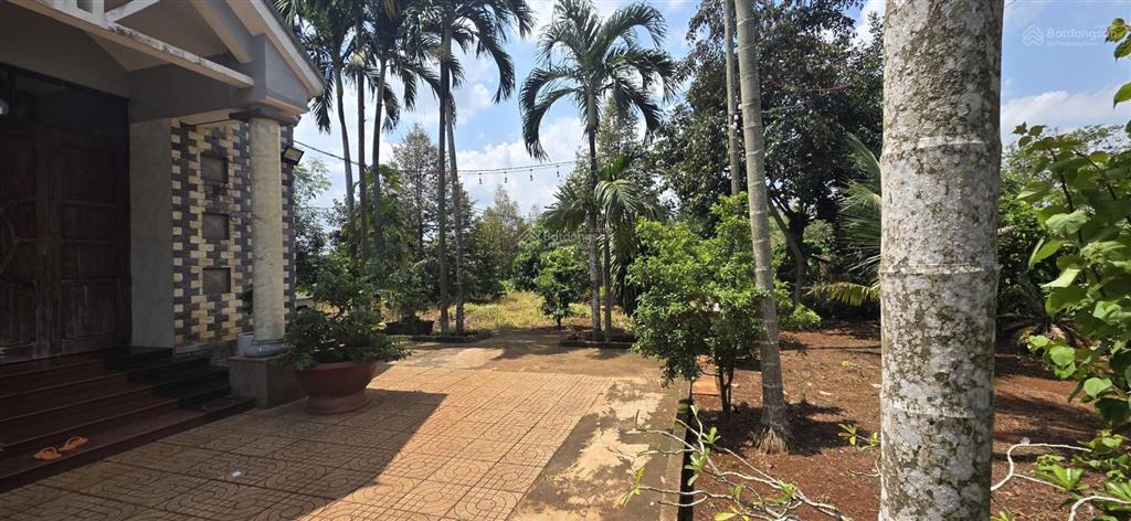Bán mảnh vườn và nhà đẹp 12552m2 tại láng lớn