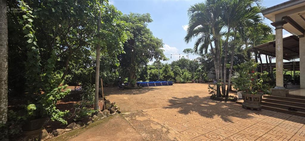 Bán mảnh vườn và nhà đẹp 12552m2 tại láng lớn