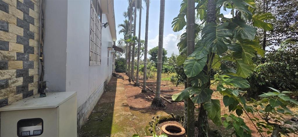 Bán mảnh vườn và nhà đẹp 12552m2 tại láng lớn