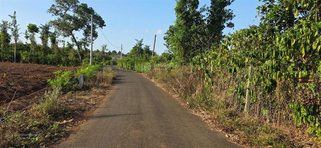 Bán mảnh đất mẫu hơn 1,3 ha vườn trái cây, giáp suối nhỏ
