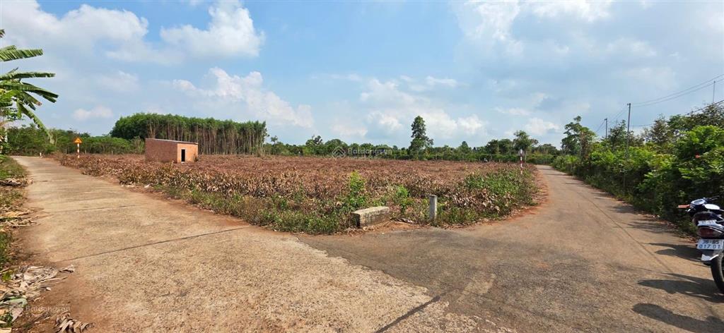 Bán mảnh đất sào 3 mặt đường đẹp, 3 triệu/m²