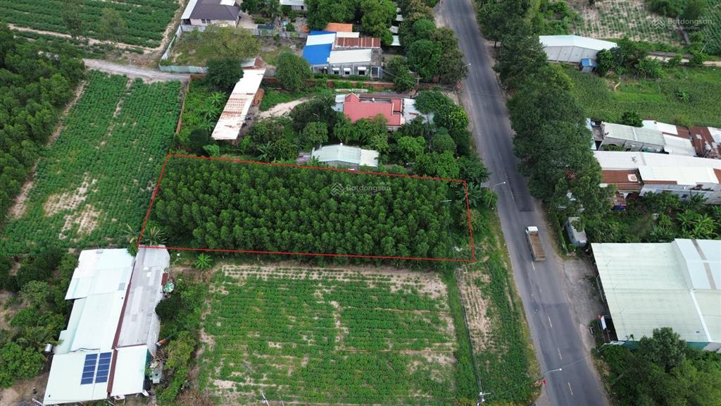 Bán 1384m2 đất mặt đường hắc dịch  tóc tiên, có 500m2 thổ cư