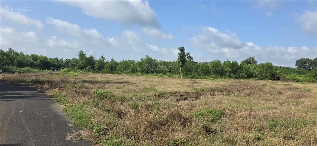 Bán khoảng 5 sào 7, có 127m mặt đường nhựa 4.7 tỉ
