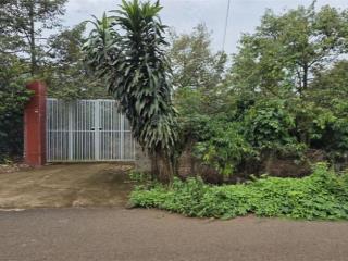 Bán mảnh vườn sầu riêng, cà phê gần 8 sào 300m2 thổ cư