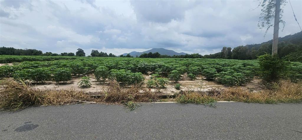 Bán 13000m2 đất tóc tiên có 146m mặt đường nhựa, 600m2 thổ cư
