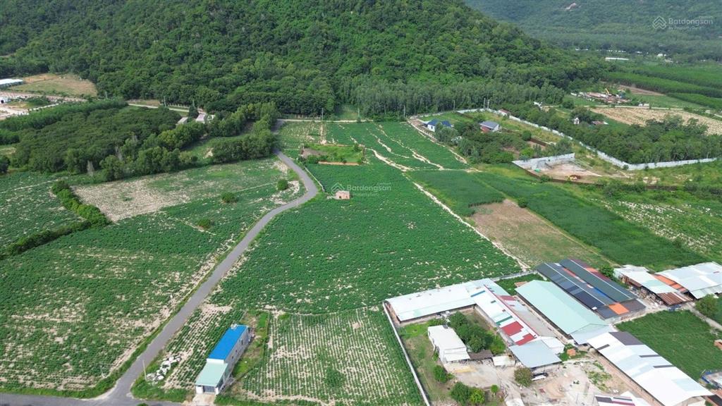 Bán 13000m2 đất tóc tiên có 146m mặt đường nhựa, 600m2 thổ cư