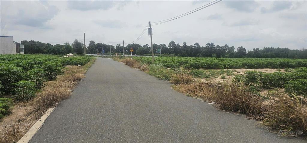 Bán 13000m2 đất tóc tiên có 146m mặt đường nhựa, 600m2 thổ cư