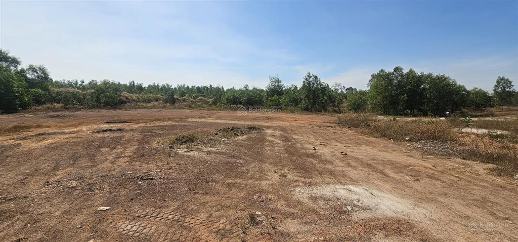 Bán 6 ha mặt đường phước tân hội bài, 300m2 thổ cư