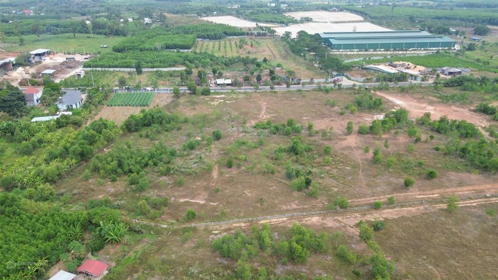 Bán 6 ha mặt đường phước tân hội bài, 300m2 thổ cư