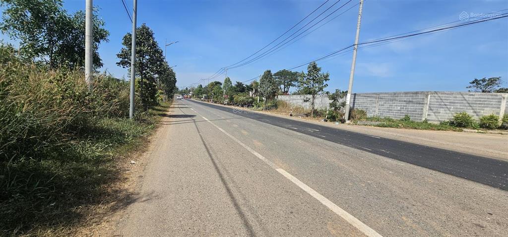 Bán 6 ha mặt đường phước tân hội bài, 300m2 thổ cư