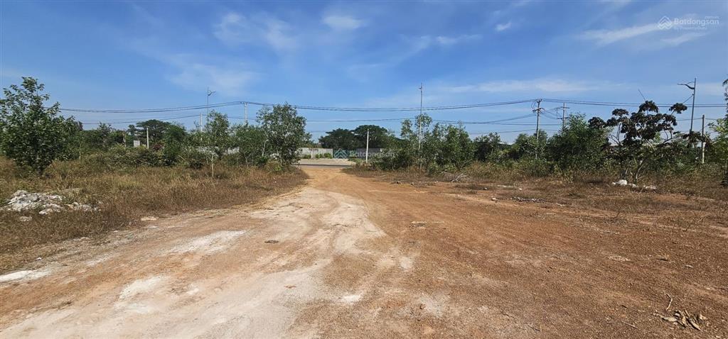 Bán ~ 6 ha đất thổ cư, đường phước tân hội bài, gần 400m mặt đường