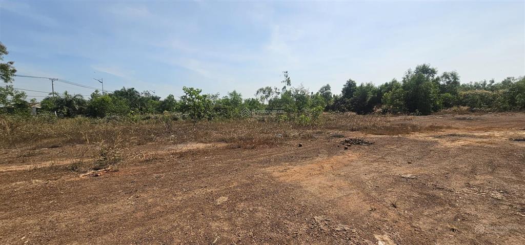 Bán ~ 6 ha đất thổ cư, đường phước tân hội bài, gần 400m mặt đường