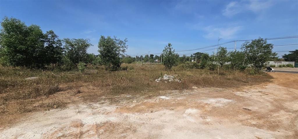 Bán ~ 6 ha đất thổ cư, đường phước tân hội bài, gần 400m mặt đường