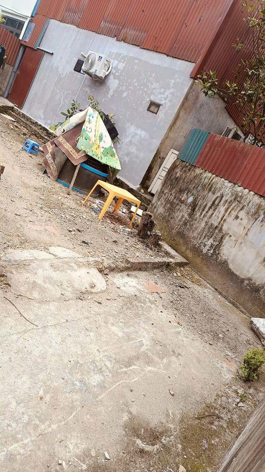 Chính Chủ Bán Đất Đại Áng, Thanh Trì - 53m2 -ô tô đỗ cổng, ngõ 11 Nguyệt Áng