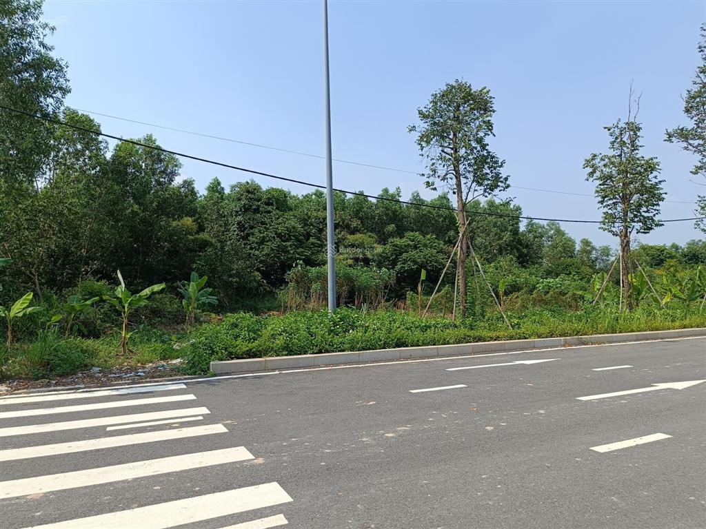 Siêu phẩm 5500m2 đất mt nhựa 47m, đối diện khu bt 5* swanpark. chủ bán chia tài sản giá 55tỷ, shr