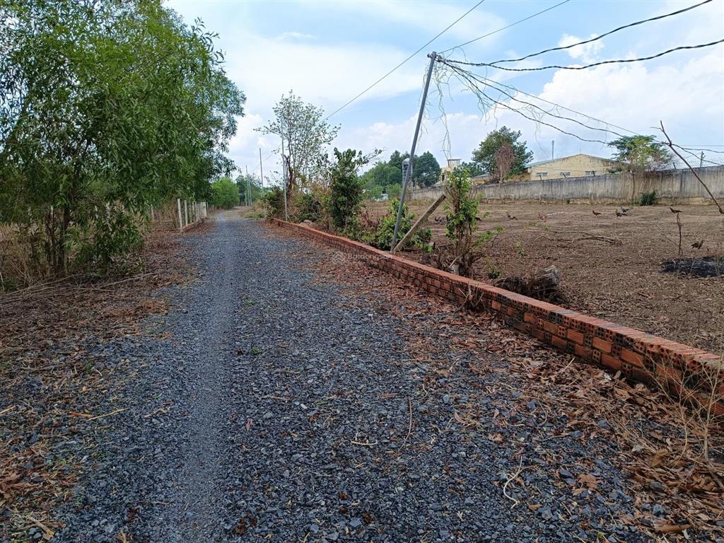 Đất cạnh 25c đi sân bay, cách quận 2 chỉ 9km. 1.814m2 (400m thổ) xây dựng tự do, shr, đối diện kcn