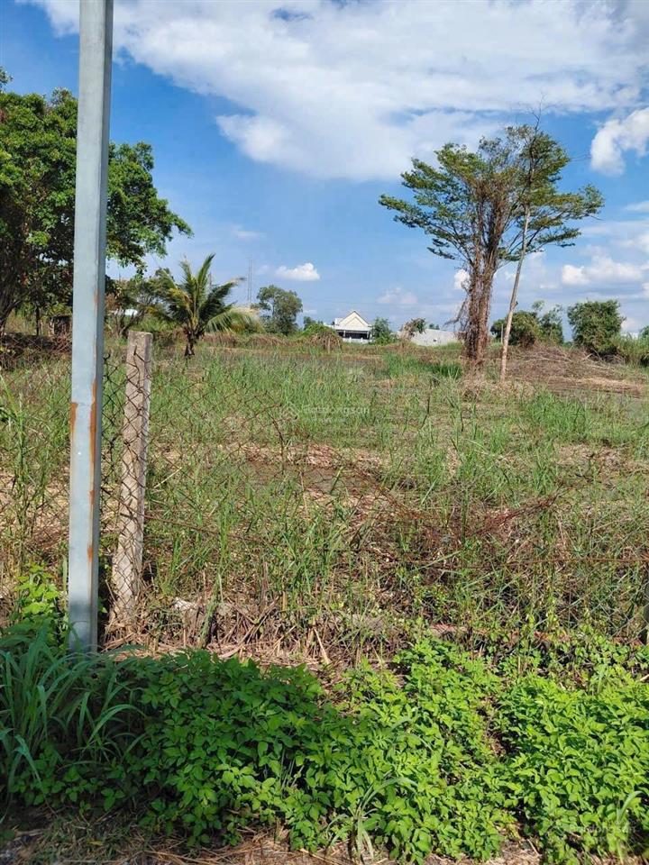 1.186m2 khu nhà vườn đẹp gần đường vành đai 3, cao tốc. đường ô tô. giá 2.5tr/m2 (xung quanh 3tr/m)