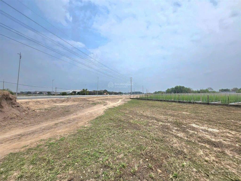 Mặt tiền 25c nối cổng chính sân bay long thành. 1349m2 (273m thổ), cho chuyển full thổ. giá 25tr/m2