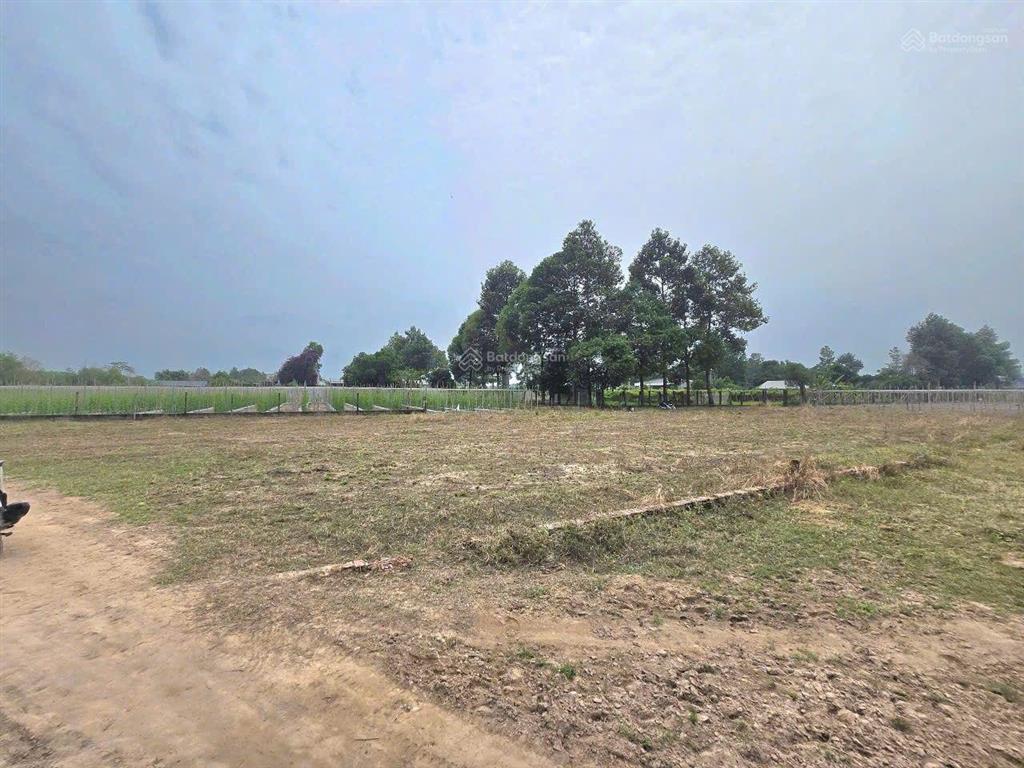 Mặt tiền 25c nối cổng chính sân bay long thành. 1349m2 (273m thổ), cho chuyển full thổ. giá 25tr/m2