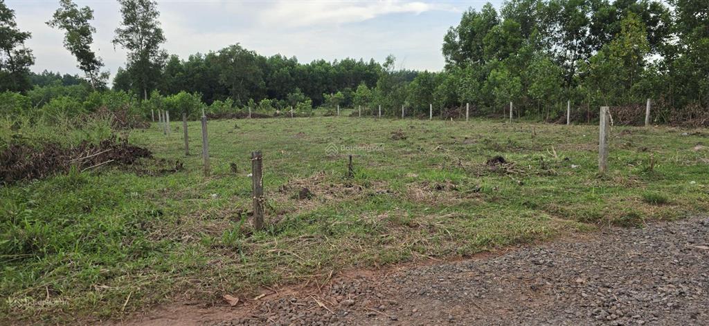 508m2 gần đường 25c đi sân bay long thành. đường xe hơi, quy hoạch ont. sổ riêng. giá chỉ 1.5 tỷ