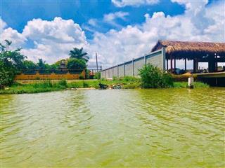 Lô đất mặt tiền sông lớn, đường ô tô, khu nghỉ dưỡng giáp q2. 1000m2 gần cầu cát lái. giá 3.8tr/m2