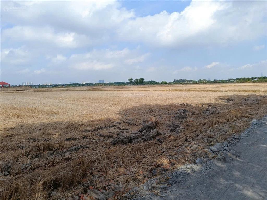 Chính chủ bán đất 520m2/2.4tỷ xã phú hữu cách phà quận 2 chỉ 2km. đường xe hơi, khu dân cư, shr