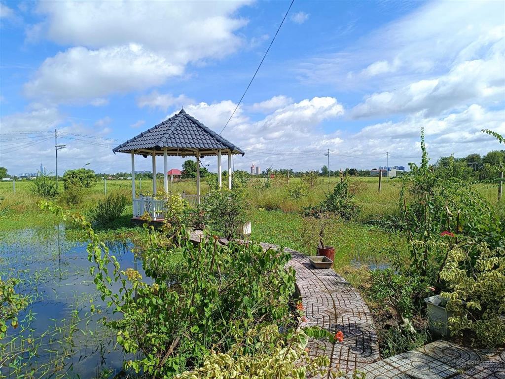 Chính chủ bán đất 520m2/2.4tỷ xã phú hữu cách phà quận 2 chỉ 2km. đường xe hơi, khu dân cư, shr