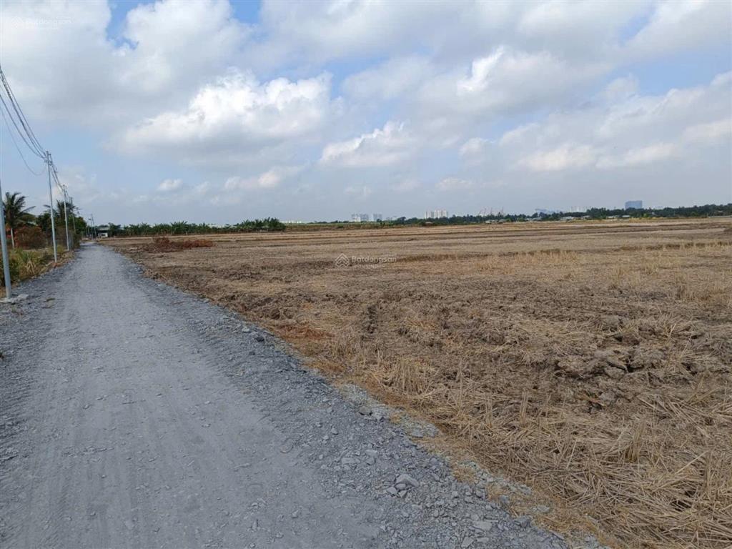 Chính chủ bán đất 520m2/2.4tỷ xã phú hữu cách phà quận 2 chỉ 2km. đường xe hơi, khu dân cư, shr