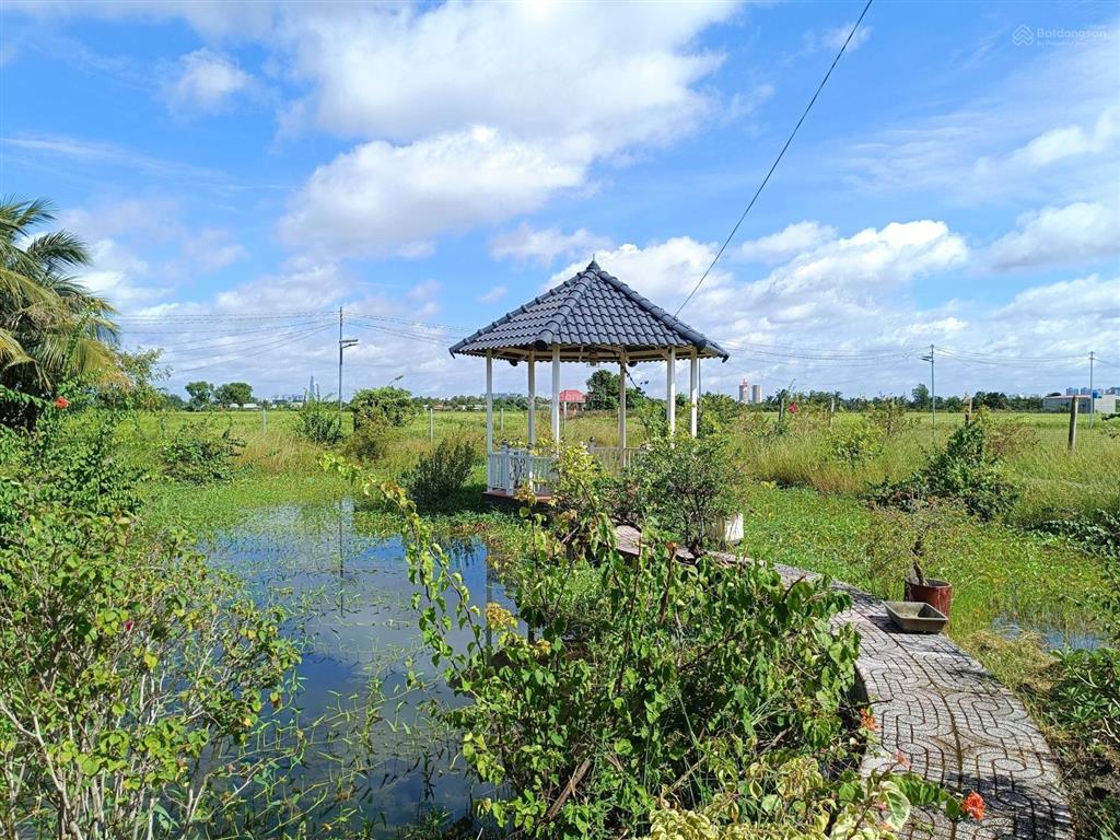 Chính chủ bán đất 520m2/2.4tỷ xã phú hữu cách phà quận 2 chỉ 2km. đường xe hơi, khu dân cư, shr