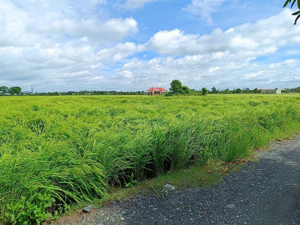 Chính chủ bán đất 520m2/2.4tỷ xã phú hữu cách phà quận 2 chỉ 2km. đường xe hơi, khu dân cư, shr